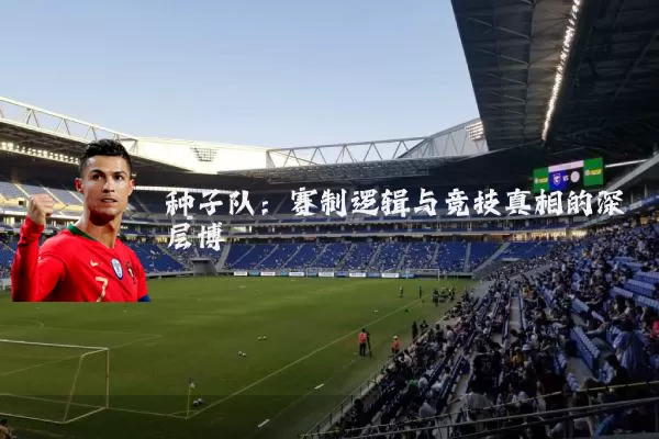 种子队:赛制逻辑与竞技真相的深层博弈